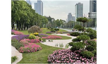 來現(xiàn)場打卡，感受“美麗無錫”的美好